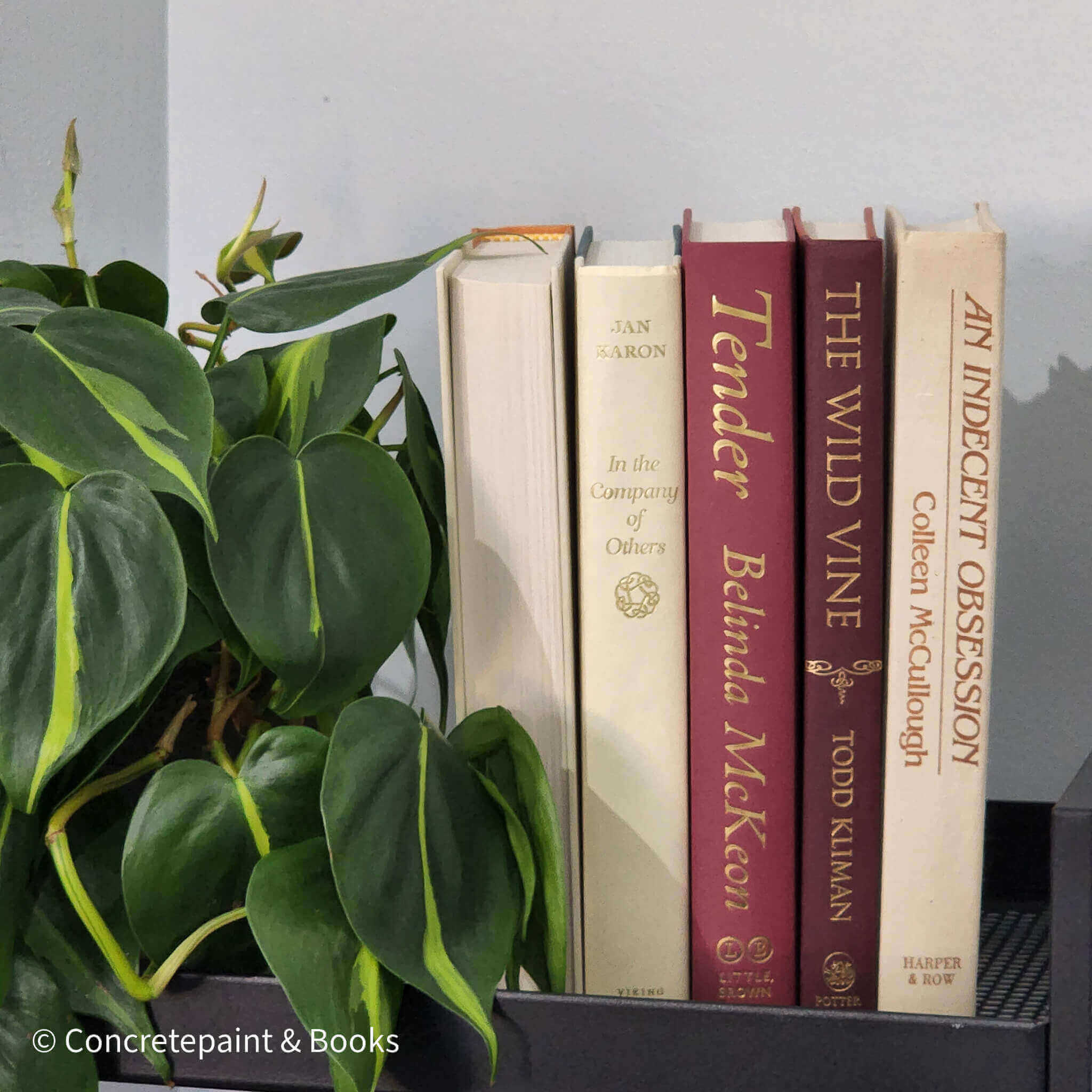 Neutral & Warm Toned Book Set 6