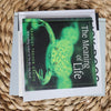 Animal Book Decor 9