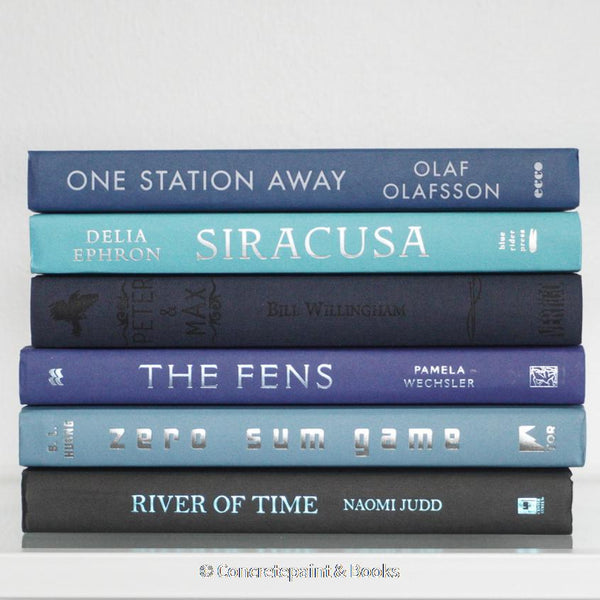 Black and blue hardcover real books staged and used as home décor. Book stack on a shelf.