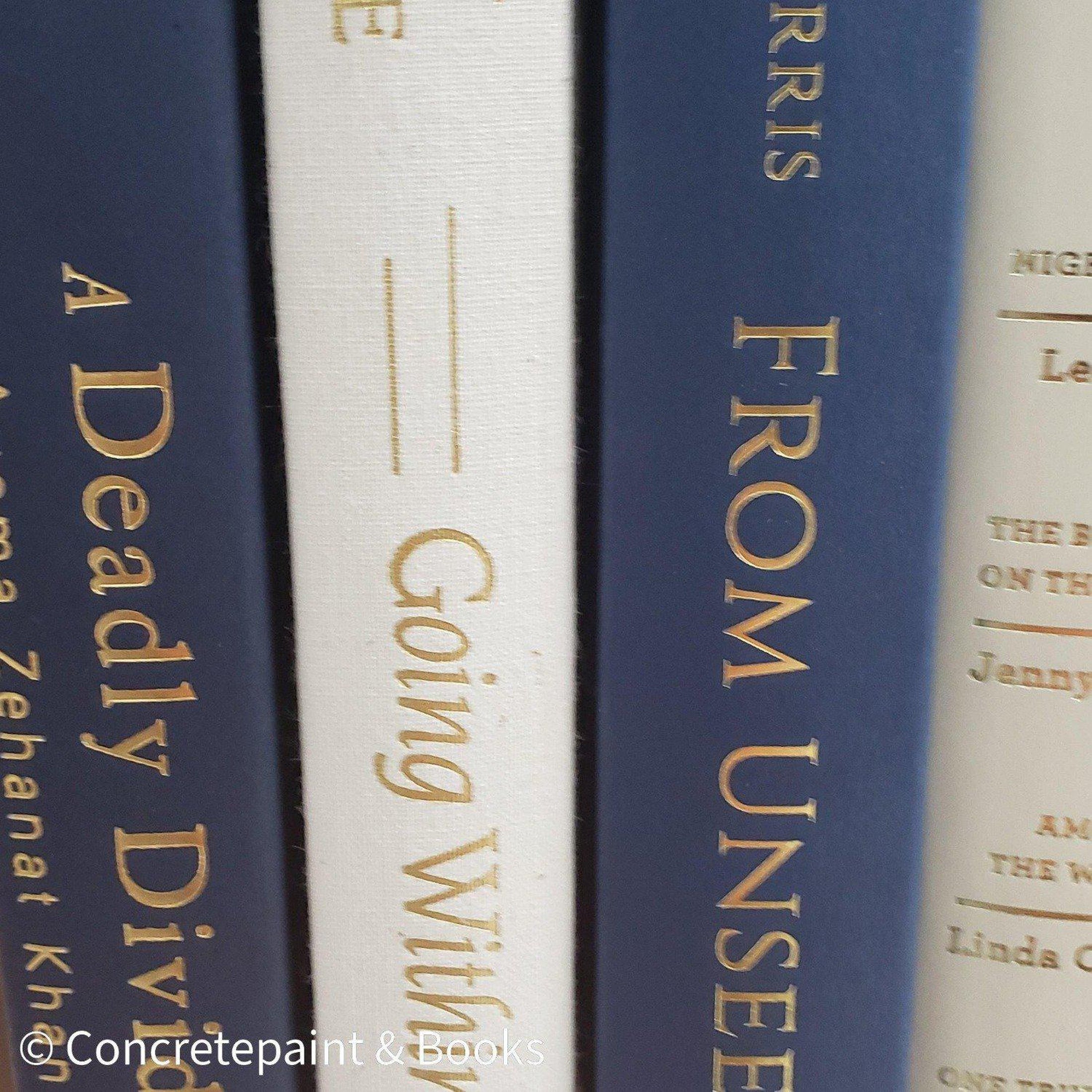 Nude & Blue Book Set 7 | Book Stack & Decorative Accents-Set of Decorative Books and Accents-[stack of real books for decorating]-[set of books with decorative accents]