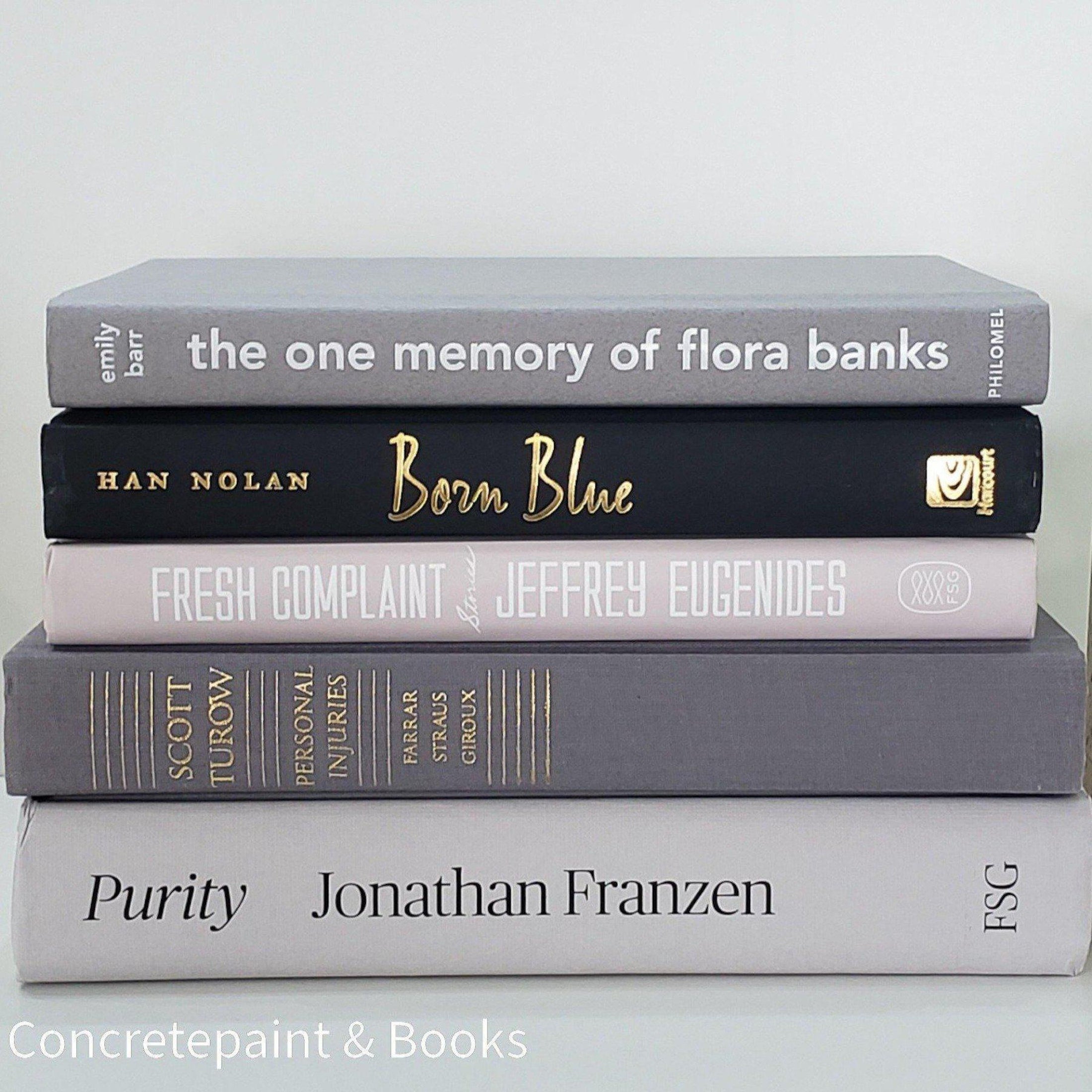 Contemporary 5 - Concretepaint & Books