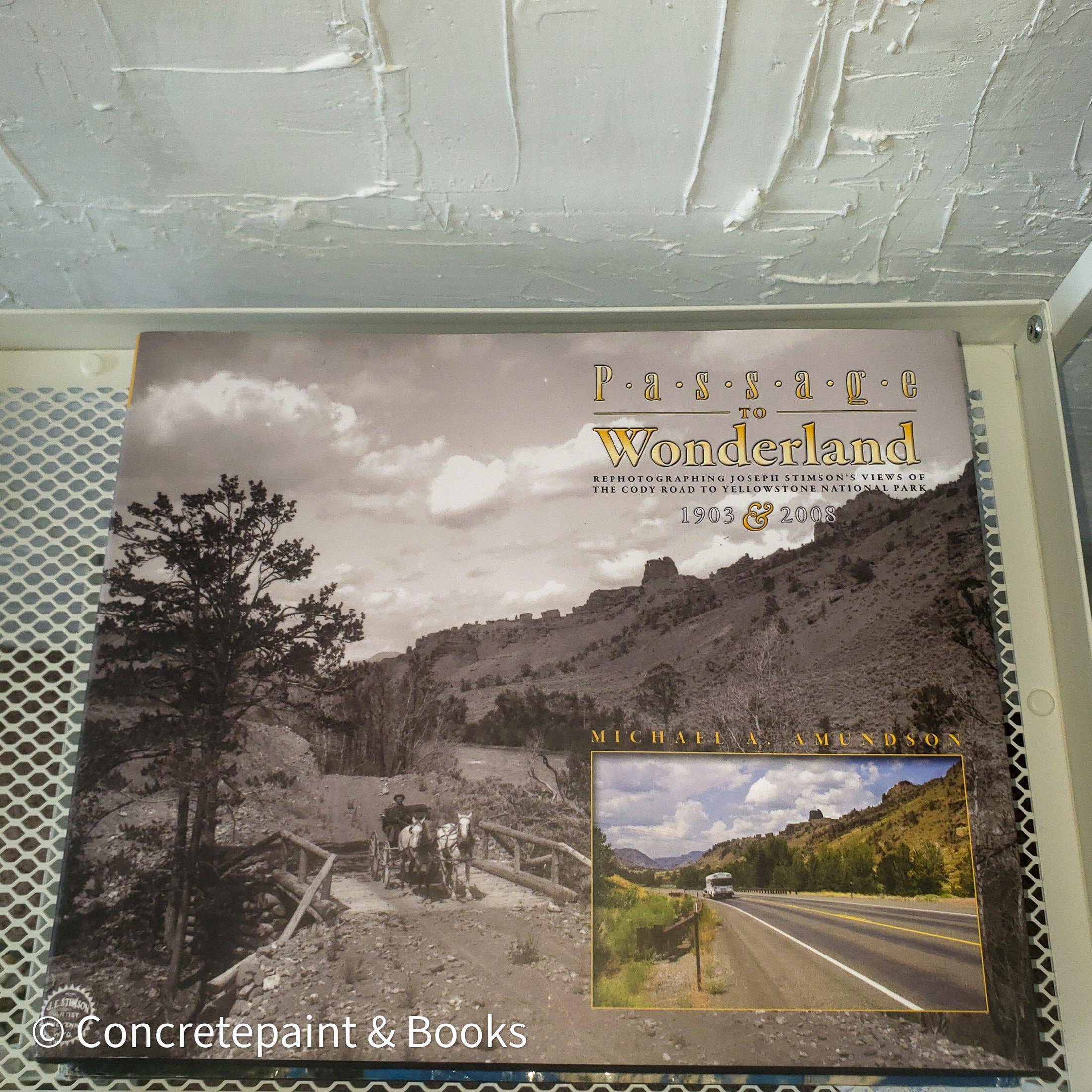 Real headcover books used as staged home décor. Stack of large oblong coffee table books.