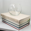 Bold Nature Tones 5 | Decorative Books & Glass Bubble-Set of Decorative Books and Accents-[stack of real books for decorating]-[set of books with decorative accents]