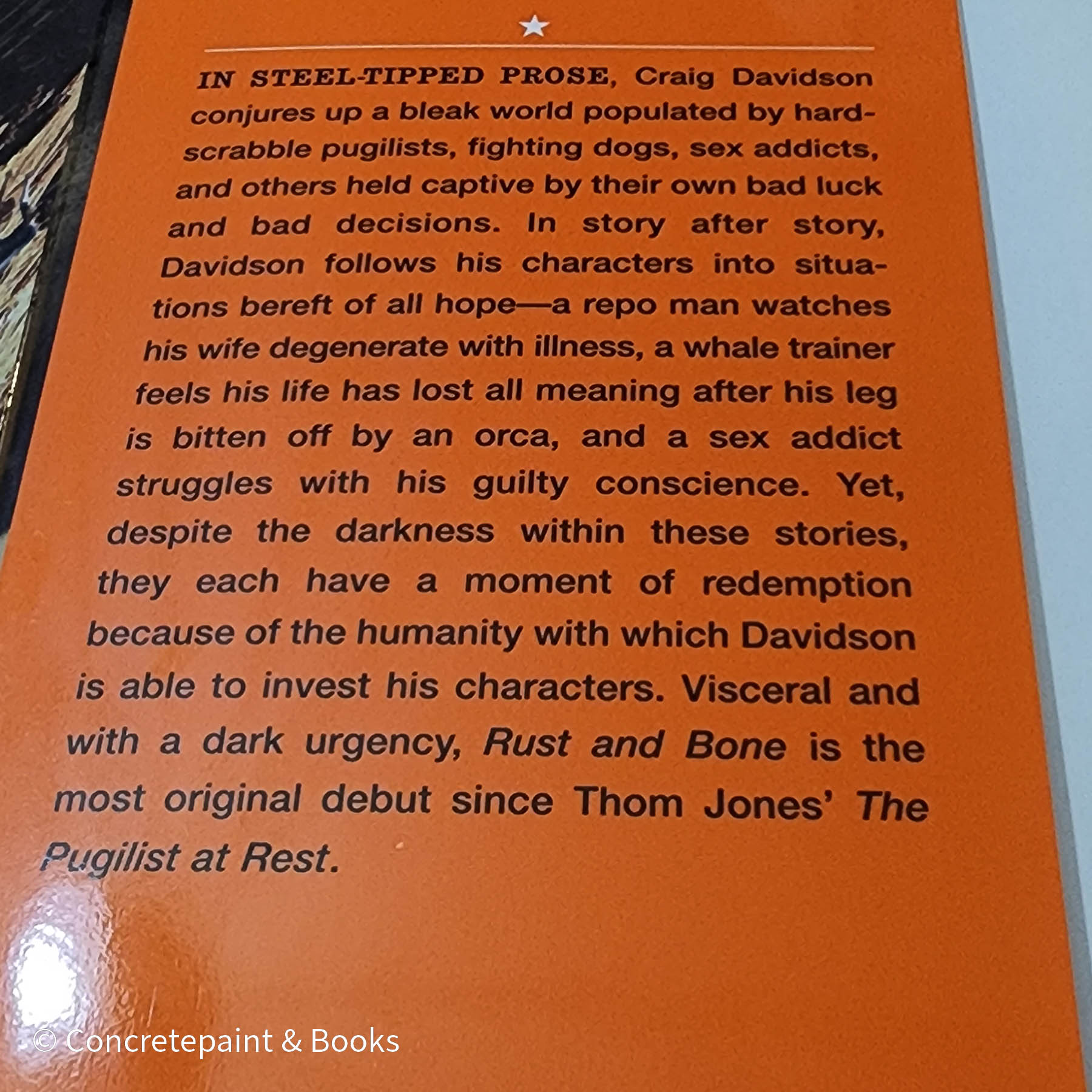 Fiction & Non-Fiction Book Display 8
