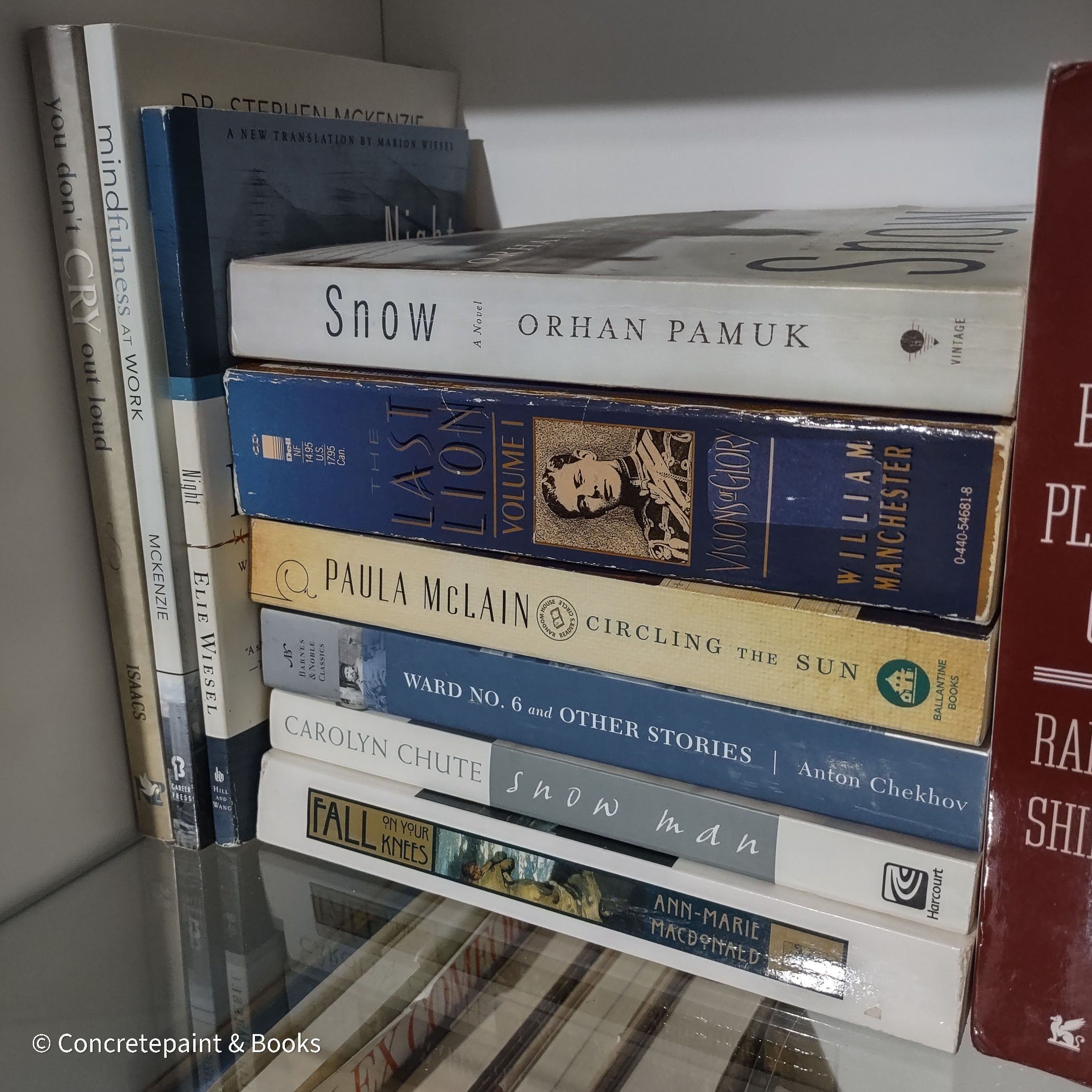 Full Bookshelf Decor Lot 26