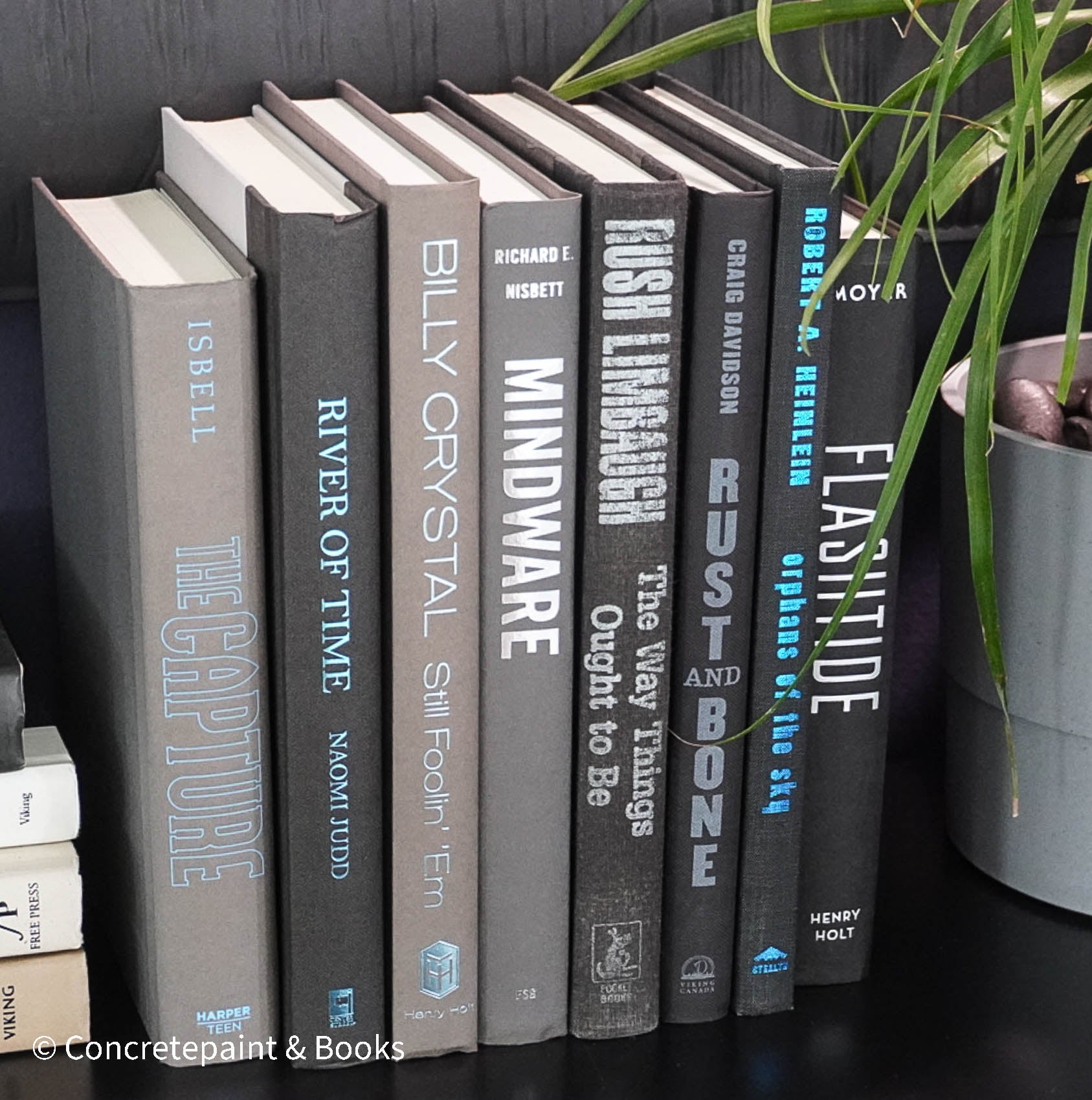Fiction & Non-Fiction Book Display 8