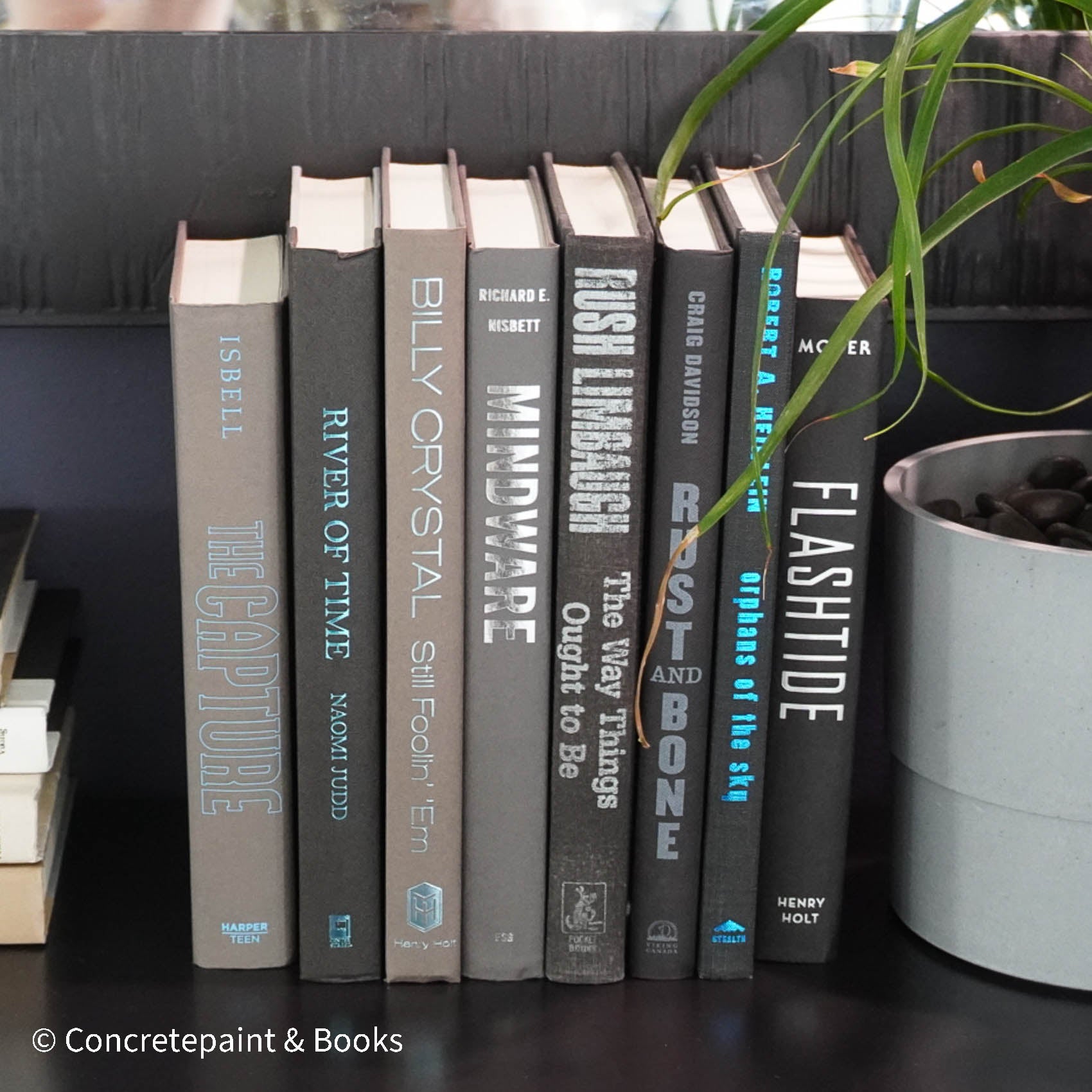 Fiction & Non-Fiction Book Display 8