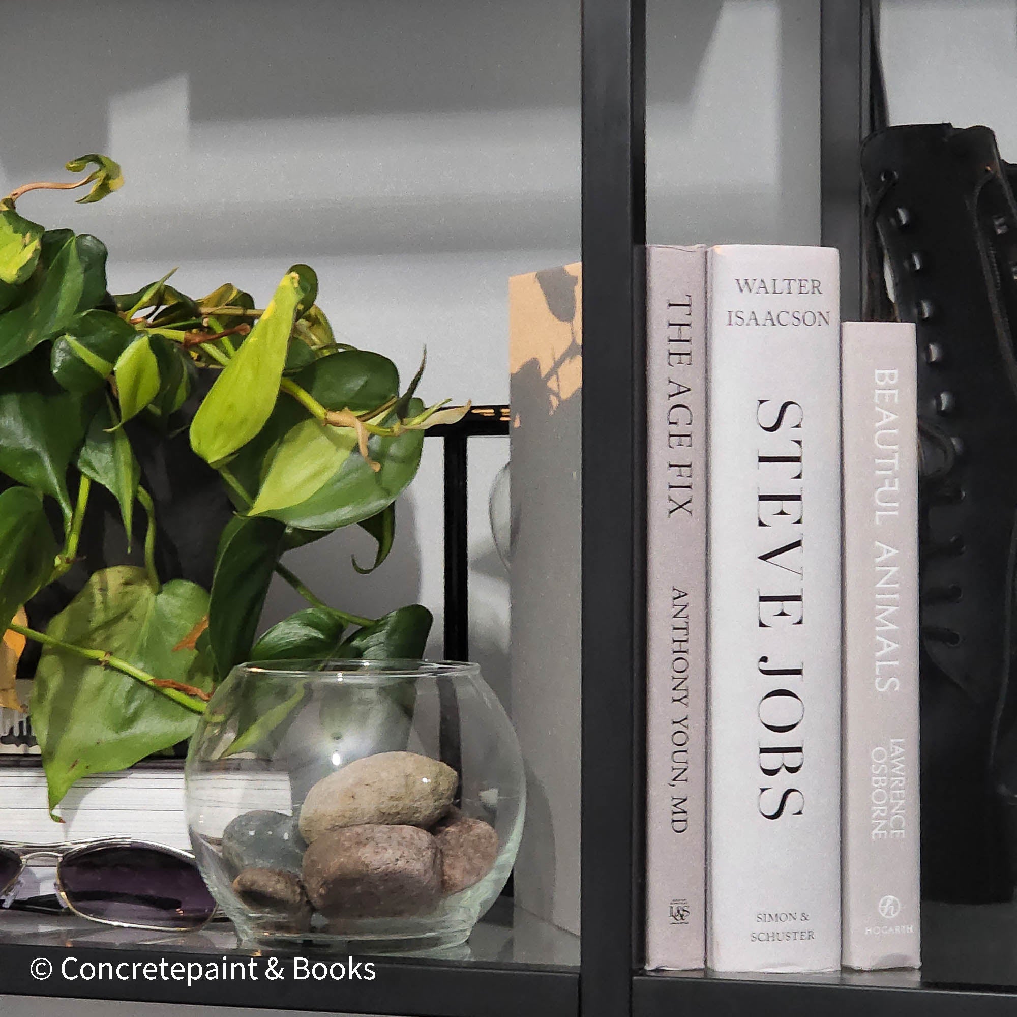 Contemporary & Calm Decor 8
