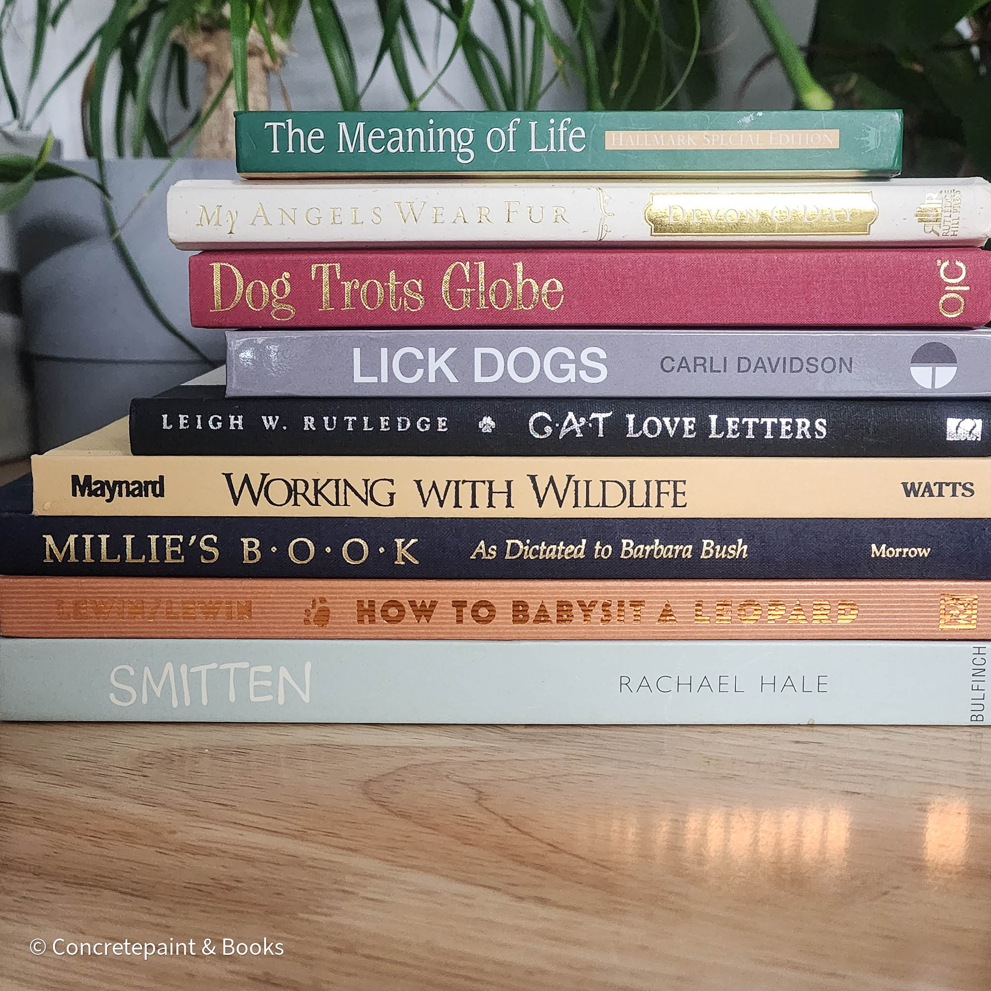 Animal Book Decor 9