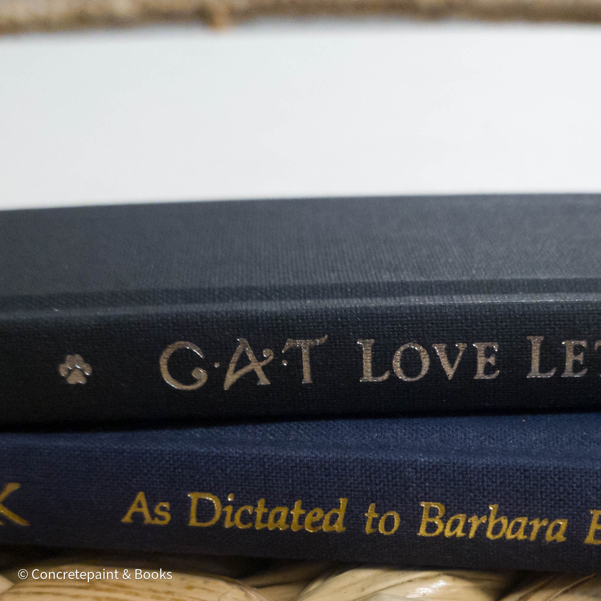Animal Book Decor 9