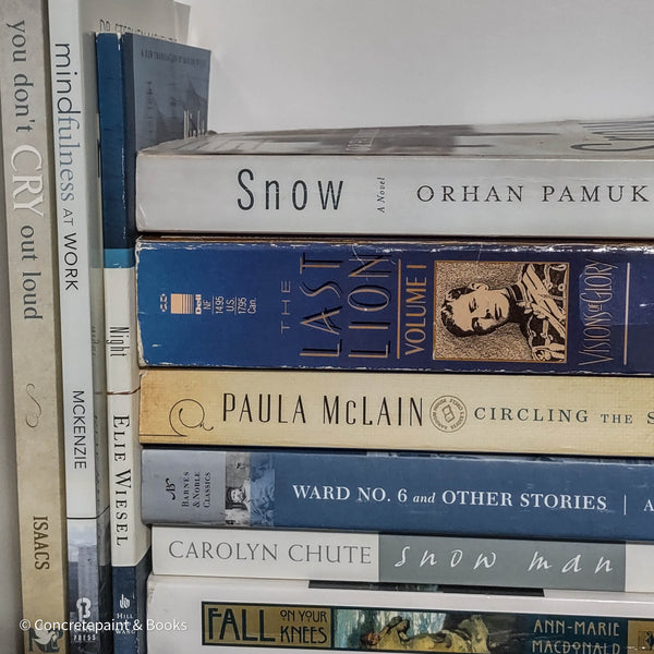 Full Bookshelf Decor Lot 26