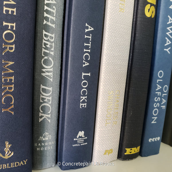 Set of Gray & Blue Books 11