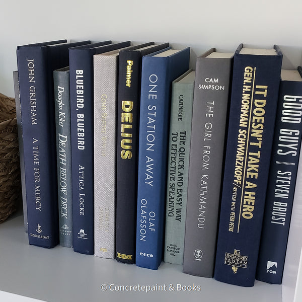 Set of Gray & Blue Books 11