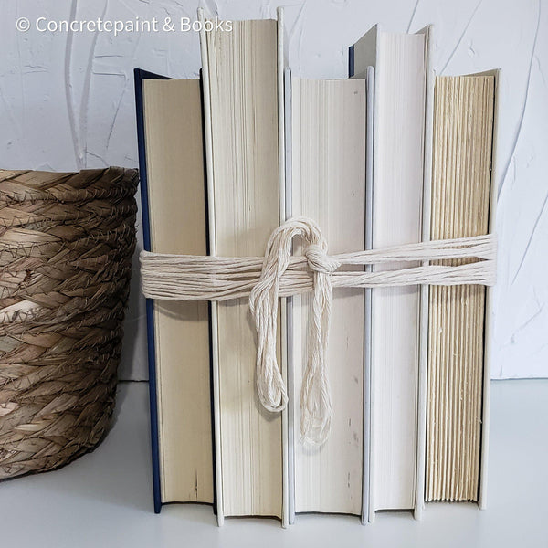 Modern Industrial Farmhouse Home Decor 6 | Set of Blue & Neutral Books