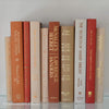 Books for display on shelf. Neutral and warm toned home decor. 