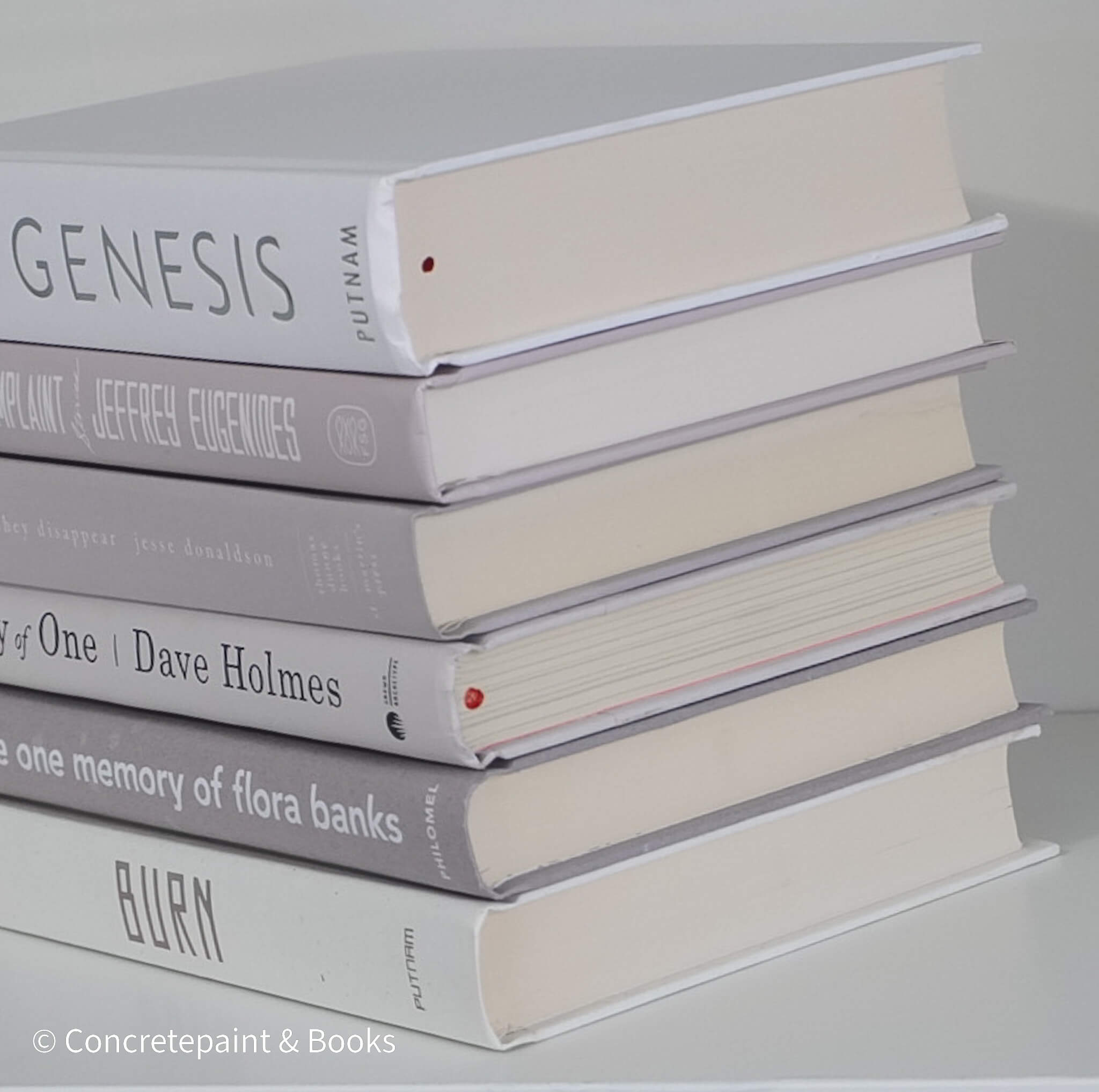 Light & Neutral Set of Books 9