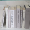 Light & Neutral Set of Books 9