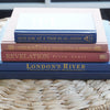 Navy blue and terra-cotta colored books. Decorative books for display. 