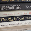 Neutral Tan & Black Shelf Decor Book Set 9